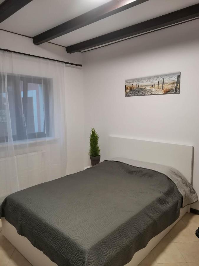 Łomianki Urocze Studia W Lomiankach, 1- Z Sauna I Tarasem, 2- Z Kominkiem, 3- Ekonomiczne, 7Km Metro Mlociny Warszawa מראה חיצוני תמונה